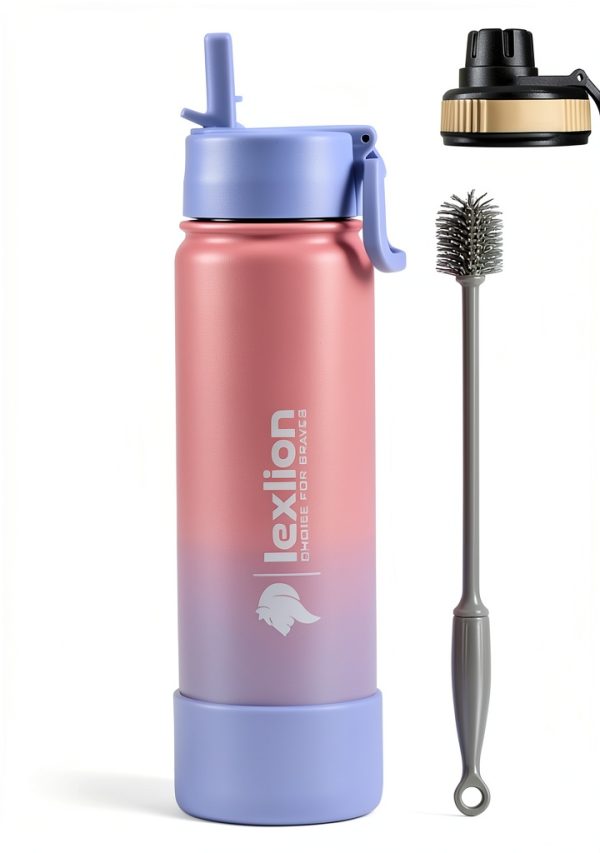Lexlion Stainless Steel Water Bottle Insulated Leakproof-0