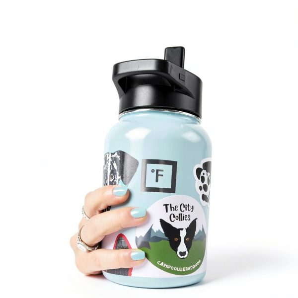 Iron Flask Insulated Water Bottle Stainless Steel Bubble Gum-6