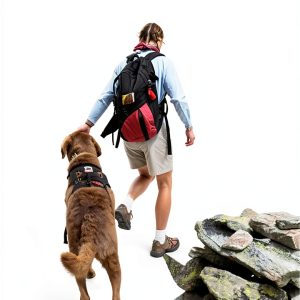 Falcon Guides Hiking & Camping Kindle Guide 210‑Page Travel Handbook-0